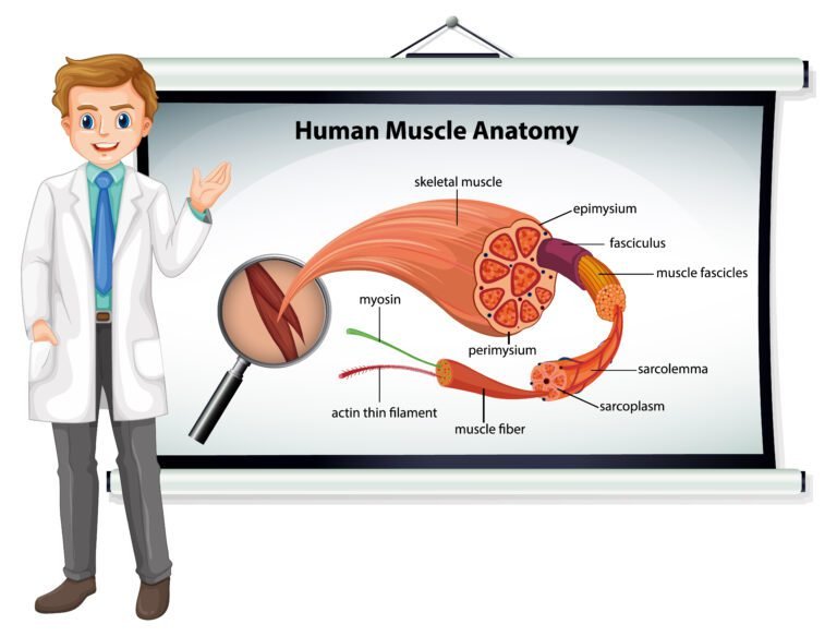 What can you do with a PhD in physiology?